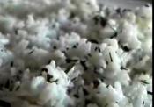 Coconut Rice